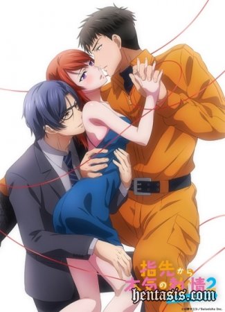 Страсть на кончиках пальцев 2: Мой возлюбленный — пожарный / Yubisaki kara Honki no Netsujou 2: Koibito wa Shouboushi (2021г.)